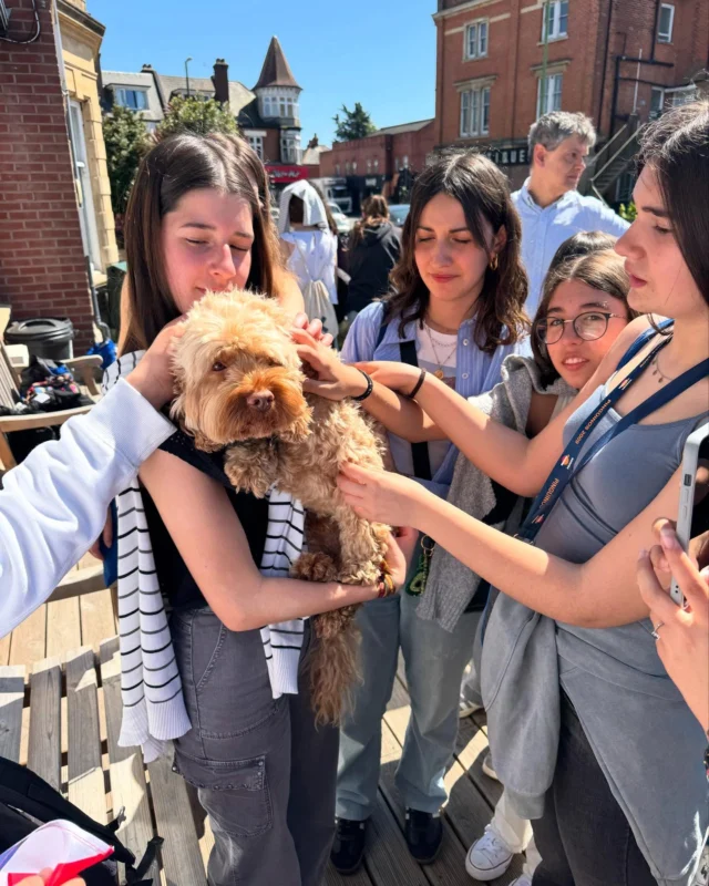 Marvelous Monty is not just the cutest and most adorable dog in the world he also offers wonderful cuddles to our students! 🐕🐾🦴🐶